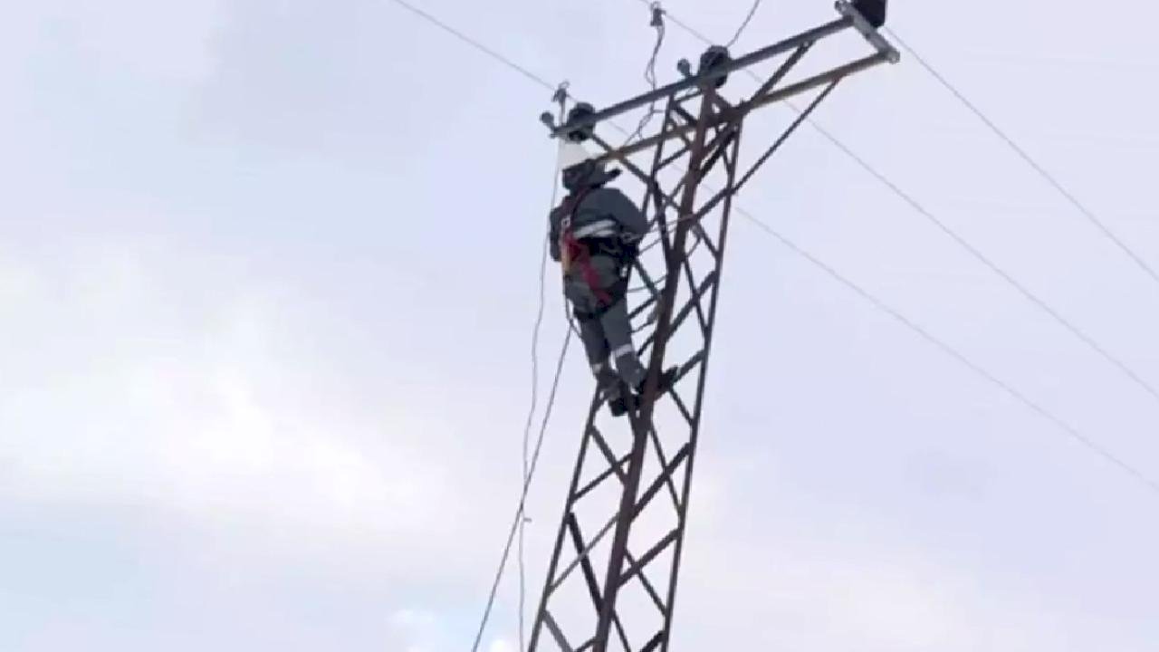 Dicle Elektrik Karla Mücadele Ediyor