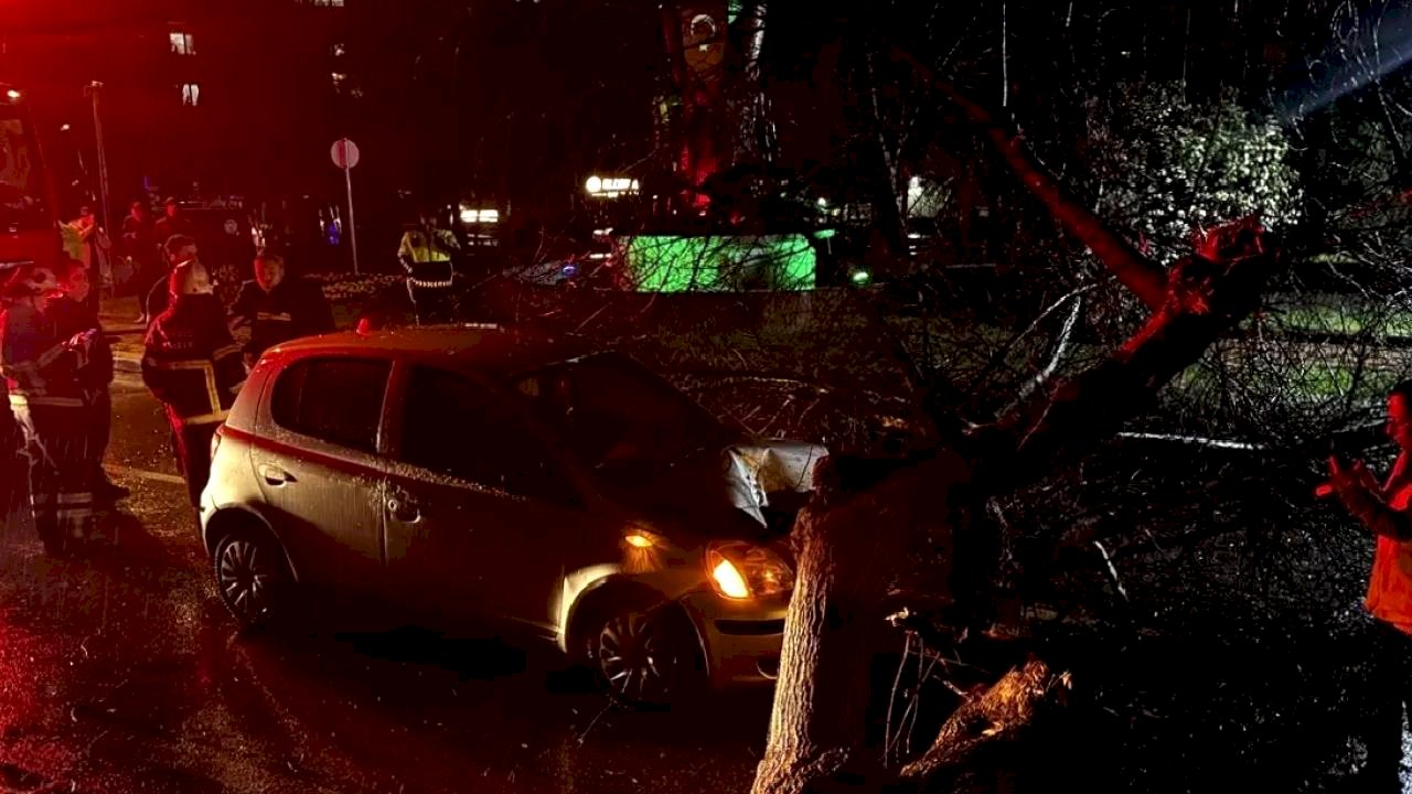 Edirne'de Ağaç Otomobil Üzerine Düştü