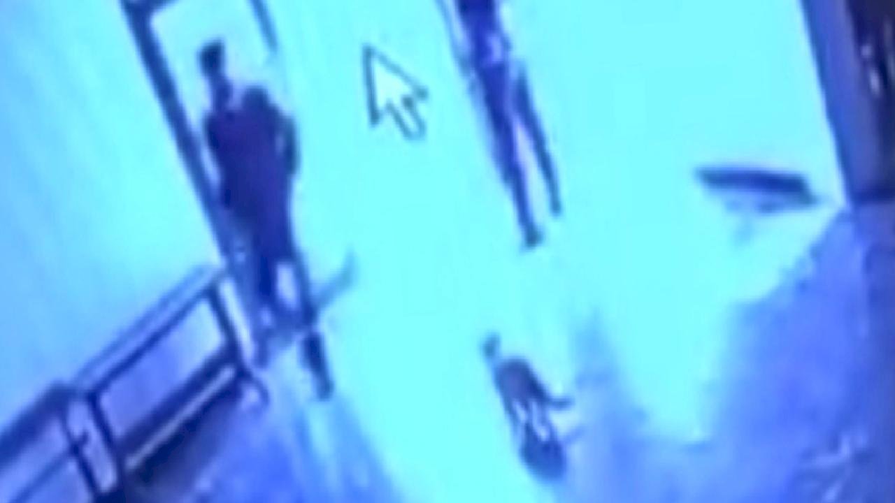 Elazığ'da kediye tekme atan görevli tepki çekti