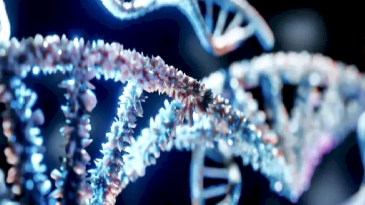 Erkek cinsiyetini belirleyen Y kromozomu yok oluyor