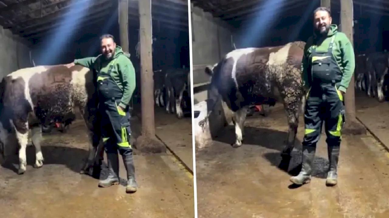 Hayvanıyla video çekip asgari ücretle ilgili yaptığı kıyasa tepki var