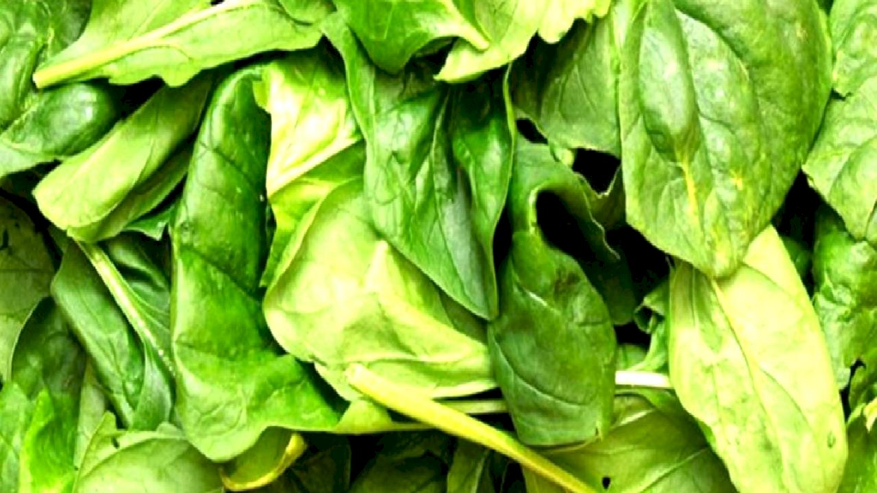 Ispanakları bu yöntemle yıkayın, pestisitten arındırın...