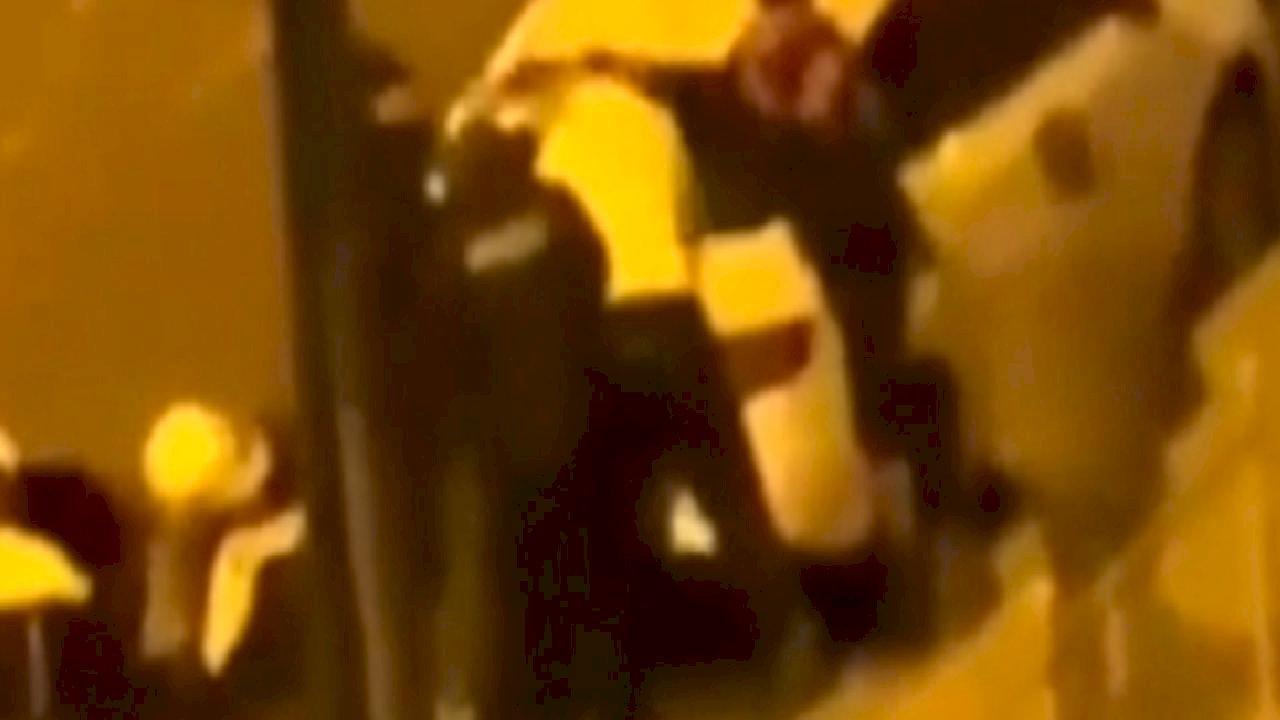 İstanbul&#039;da polisin &#039;Dur&#039; ihtarına uymayan ve mukavemet eden kişi gözaltına alındı