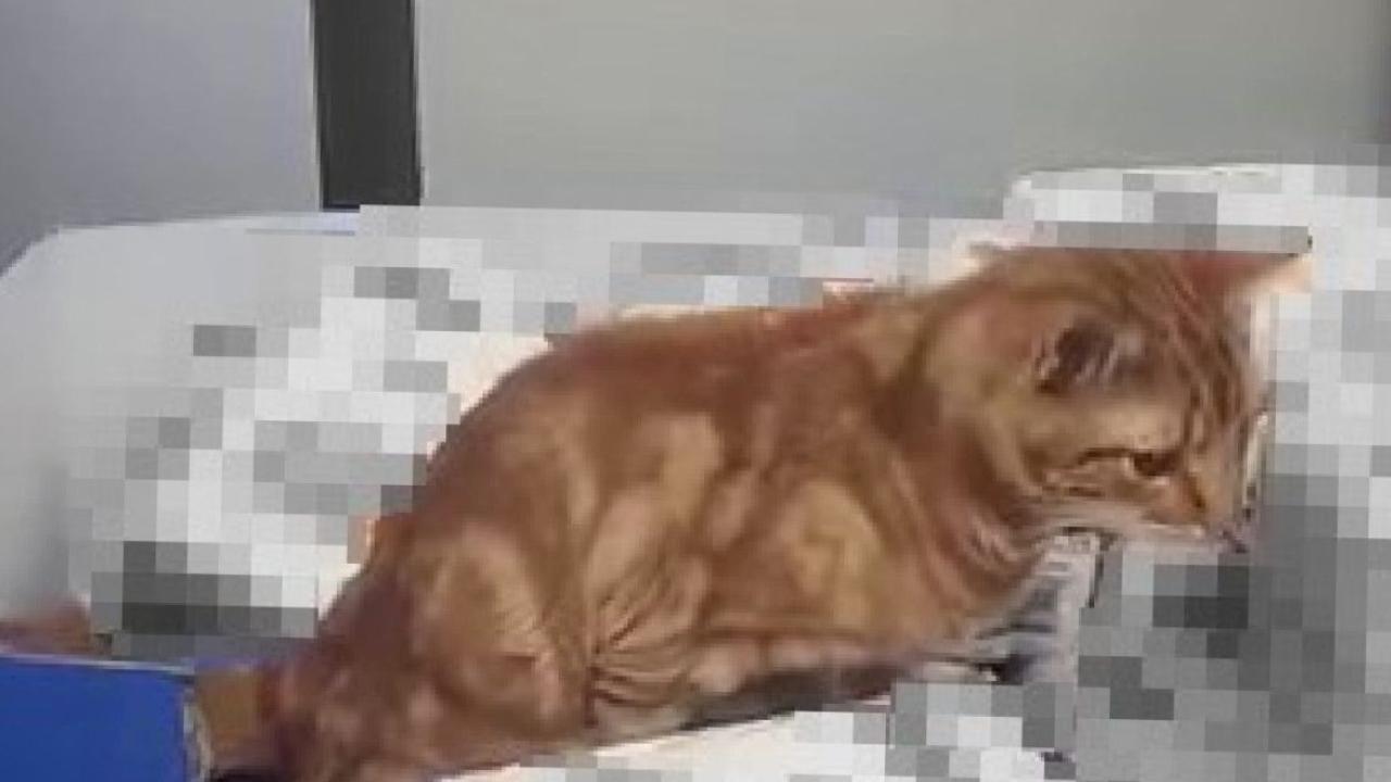 İstanbul'da zincir markette mide bulandıran görüntü