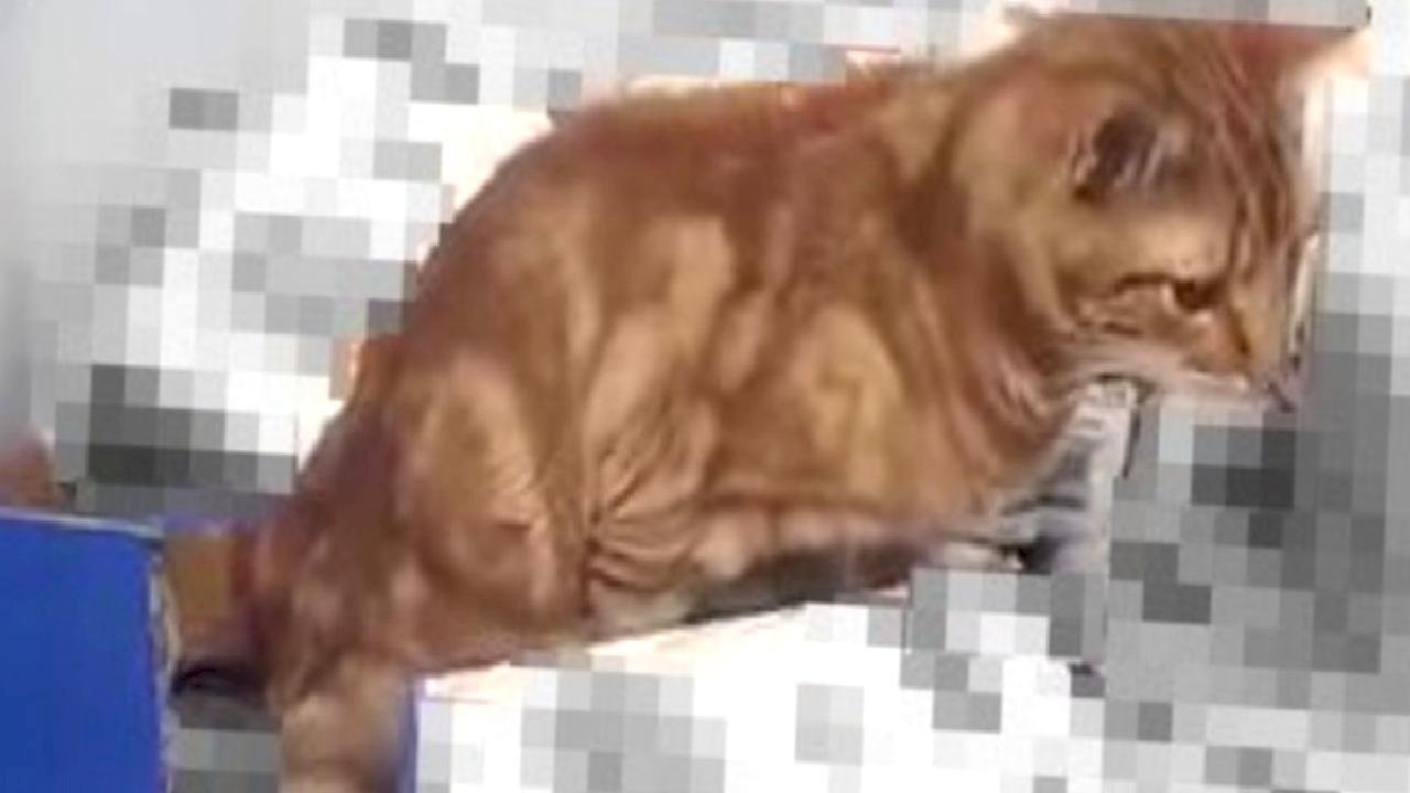 İstanbul'da zincir markette mide bulandıran görüntü