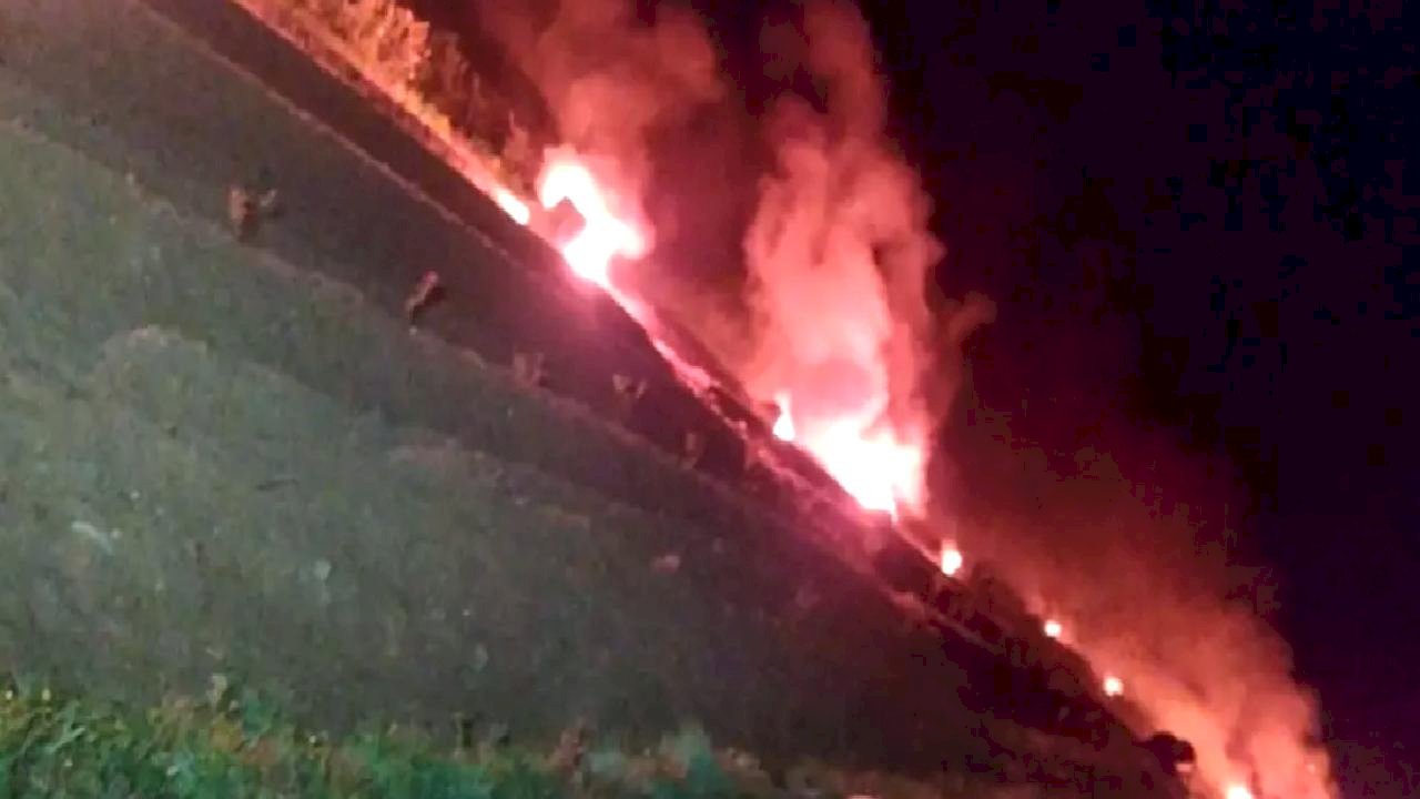 Kadınlar Yaban Mersiniyle Gelir Elde Ediyor