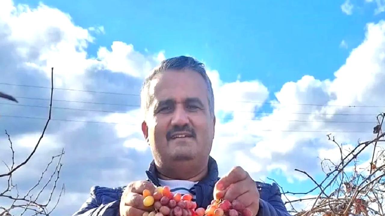 Kışın Taze Crimson Üzümü