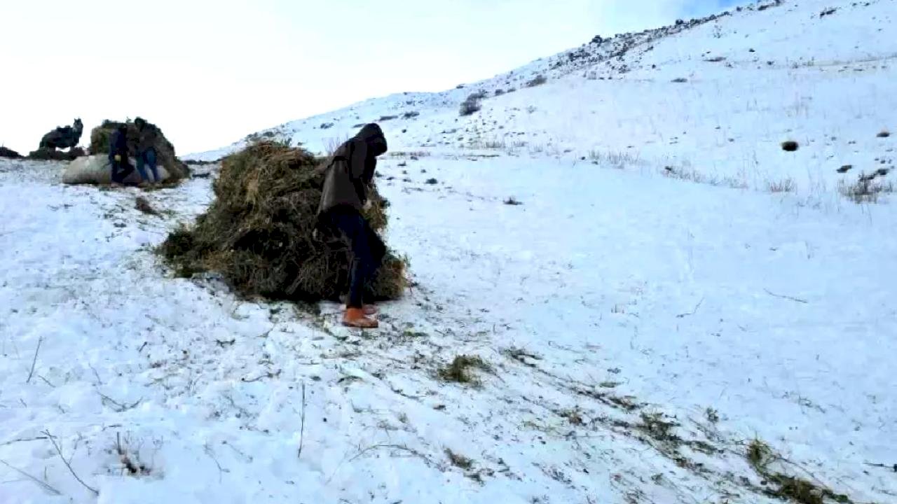 Kızakla Kış Hazırlığı