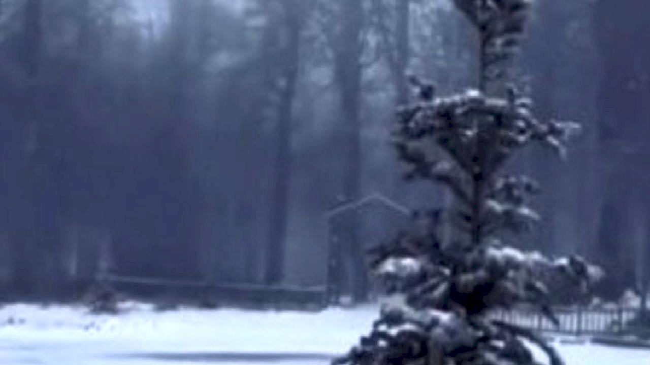 Kocaeli'de kar yağışı etkili oluyor