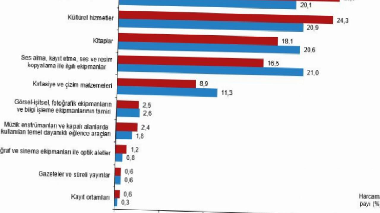 Kültür harcamaları 2024’te yüzde 83,3 arttı... Harcamalar 408 milyar TL'yi aştı