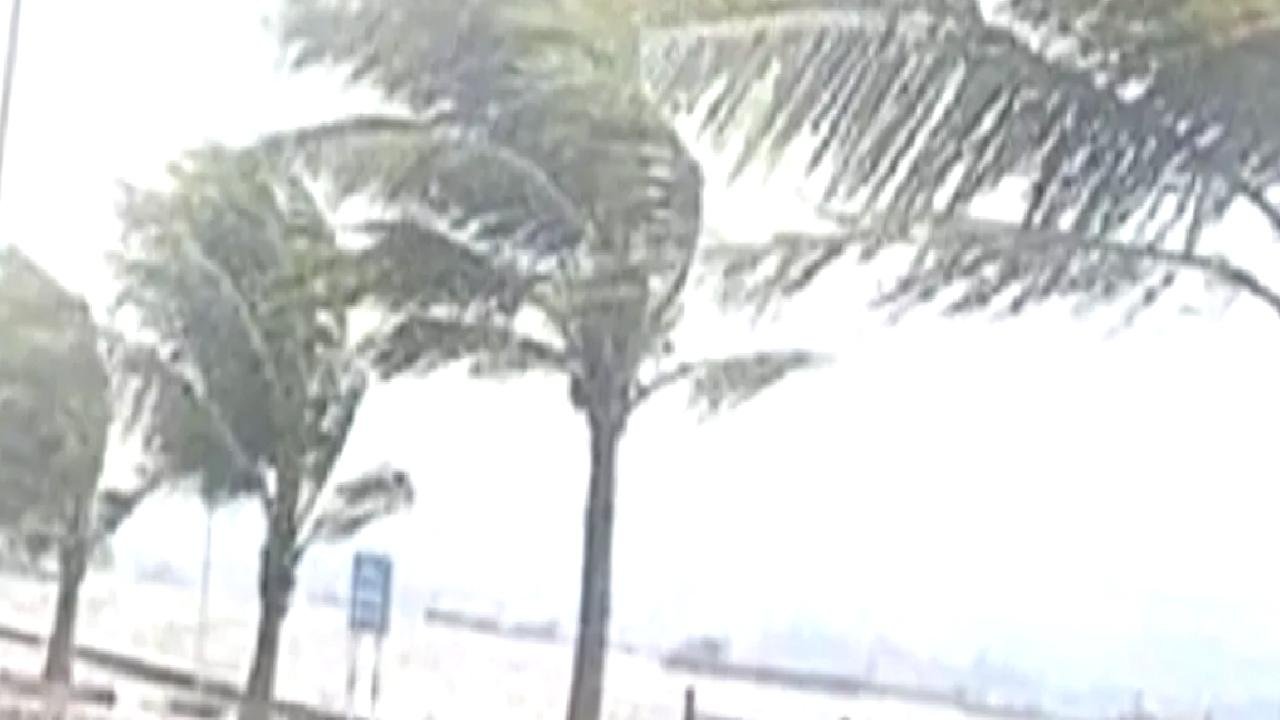 Meteoroloji’den kuvvetli yağış, rüzgar ve don uyarısı