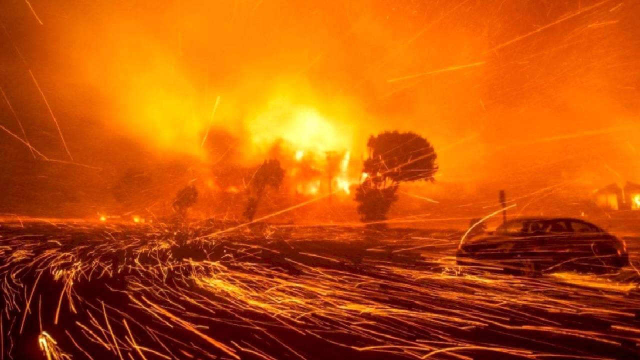 Reuters derledi: 2025'in her haftasından bir fotoğraf