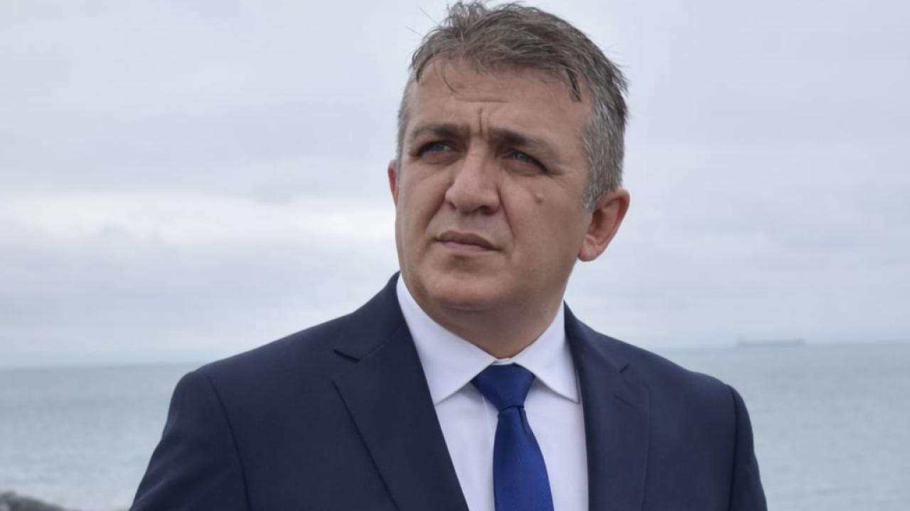 Sivrisineklerle Savaş, Bataklıkla Barış