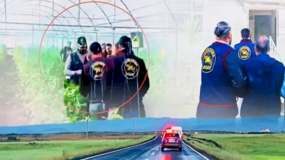 7 yıllık cinayet firarisi serada yakalandı!