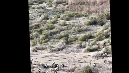 Ağyatan Lagünü'ne 100 bin yeni ağaç: Ekosistem koruma çalışmaları