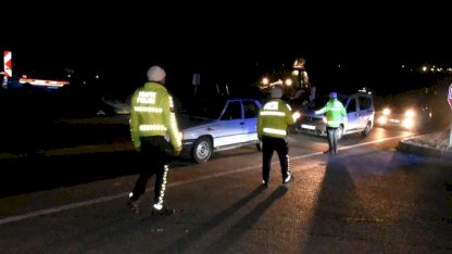 Akçadağ'da 6 Safkan Tay Telef Oldu