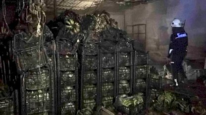 Alanya'da Muz Sarartma Deposunda Yangın