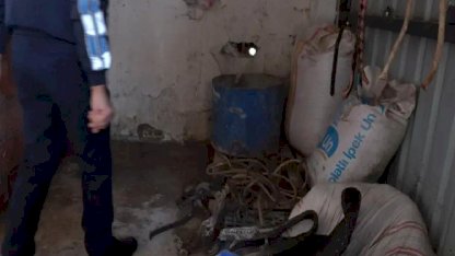 Ataşehir'de Kaçak At Kesimi Operasyonu