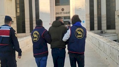 Balıkesir'de zeytin hırsızlığına jandarma baskını: 2 tutuklama