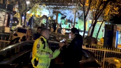 Bursa'da alkollü çıkan kadın, polislere hakaret etti