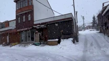 Çambaşı Yaylası Karla Kaplandı