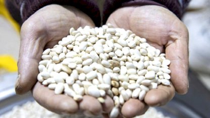 DMM, 'kuru fasulye krizi' iddiasını yalanladı