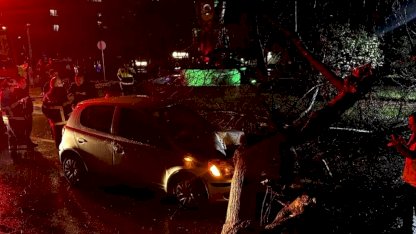 Edirne'de Ağaç Otomobil Üzerine Düştü