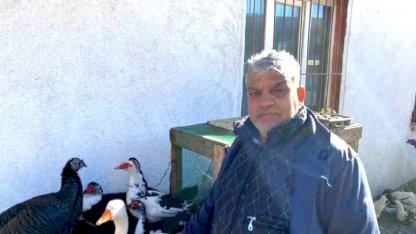 Edirne'de Kanatlı Hayvan Satışları Durgun