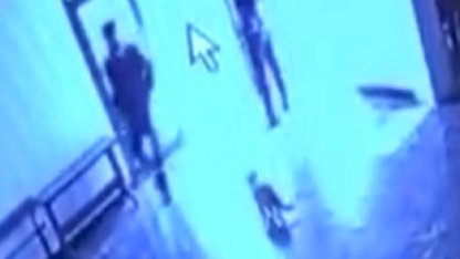 Elazığ'da kediye tekme atan görevli tepki çekti