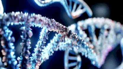 Erkek cinsiyetini belirleyen Y kromozomu yok oluyor