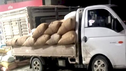 Fındık Fiyatları Alaplı'da Yükseliyor