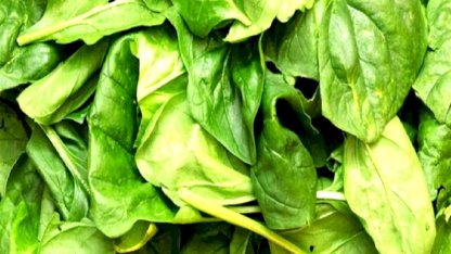 Ispanakları bu yöntemle yıkayın, pestisitten arındırın...