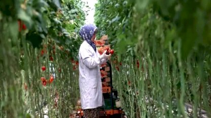 Jeotermal Enerjide Yatırımlar Artıyor