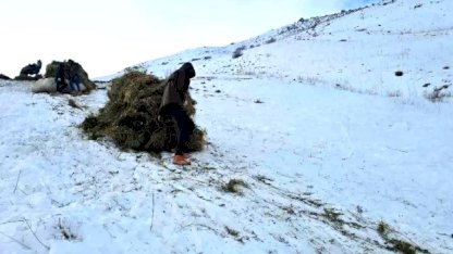 Kızakla Kış Hazırlığı