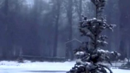 Kocaeli'de kar yağışı etkili oluyor