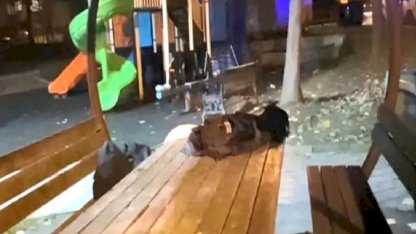 Körfez'de Lise Öğrencisi Bıçakla Yaralandı