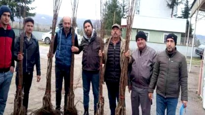 "Meyveciliği Geliştirme" projesi Pazaryeri'nde hayata geçti