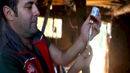 Muğla'da şap hastalığı nedeniyle 11 mahalle karantinaya alındı