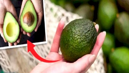 Olgun avokado seçmenin en kolay yolu! Sapı ele veriyor