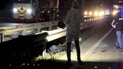 Sakarya'da Yaya Kaza Kurbanı