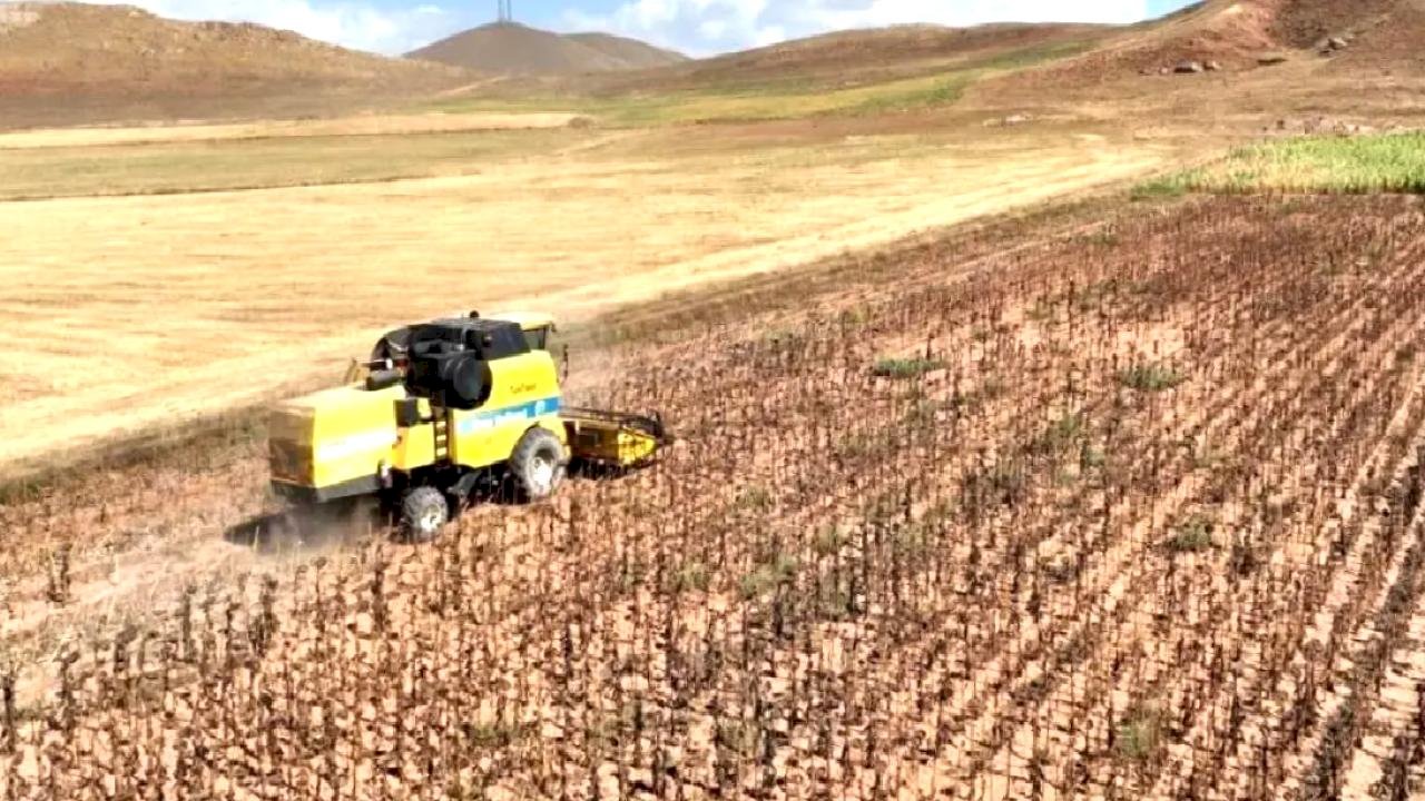 Tarımsal Girdi Fiyatları Ekim'de Yükseldi