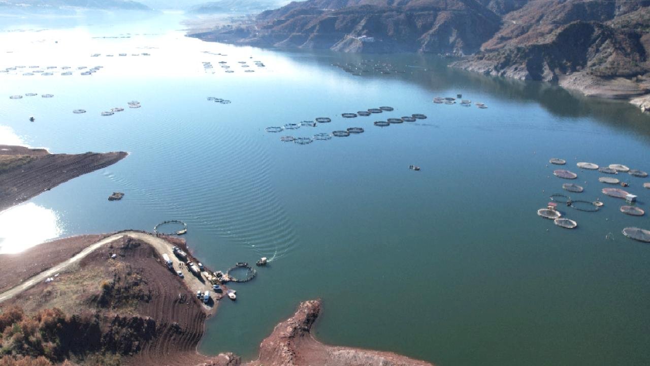 Tokat&#039;ta barajda yetiştirilen somonlar dünya sofralarına ulaşıyor