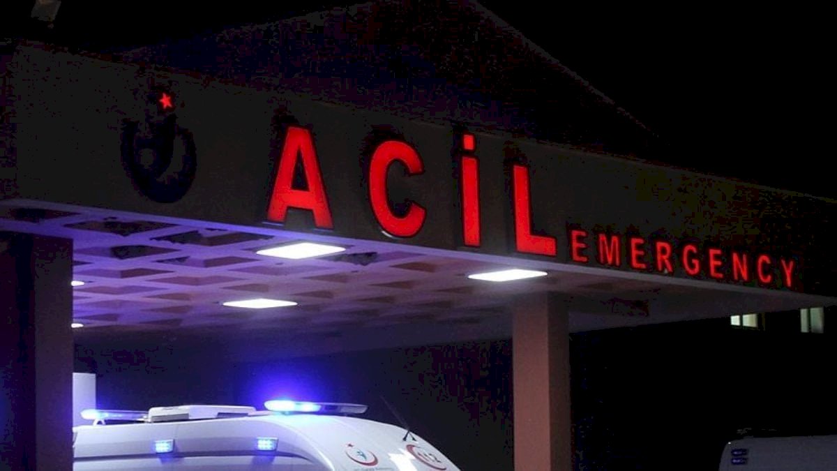 Tokat’ta kestiği ağacın altında kalan kişi can verdi