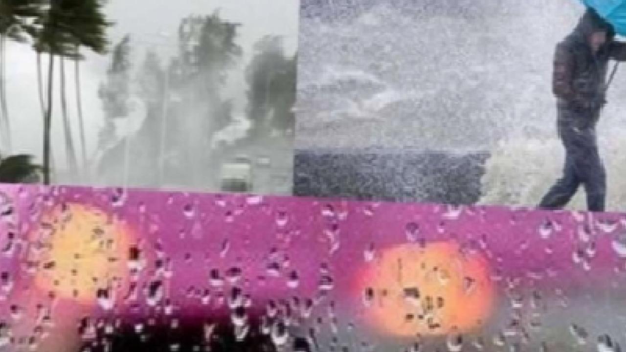 Trabzon, Rize ve Artvin’de kuvvetli yağış bekleniyor