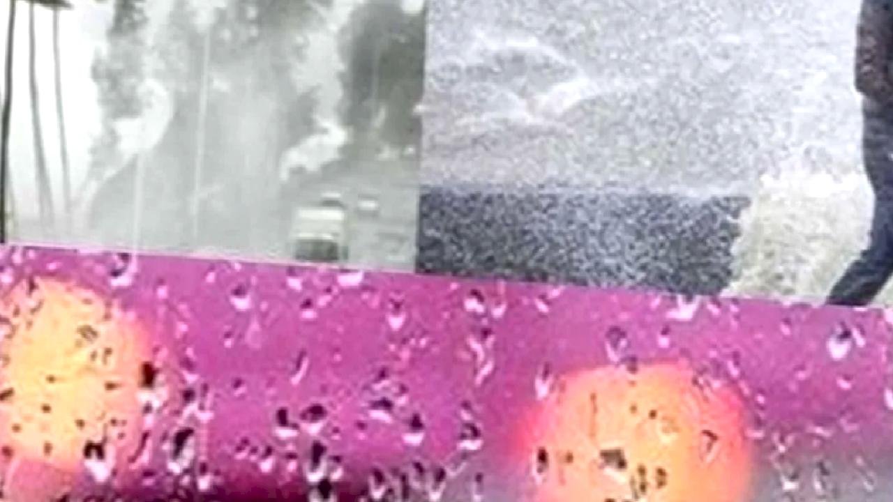 Trabzon, Rize ve Artvin’de kuvvetli yağış bekleniyor