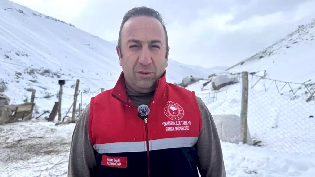 Yüksekova'da Veteriner Hekimlerin Zorlu Aşı Çalışmaları