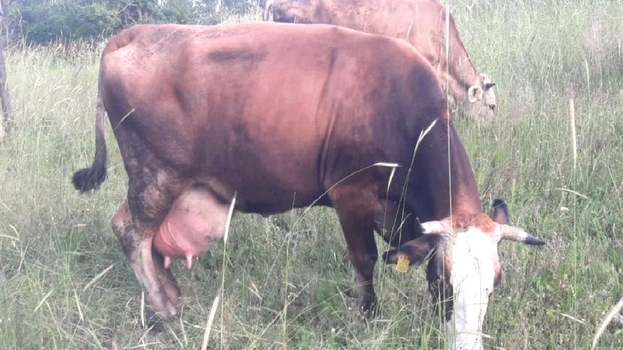Bilecik Pazaryeri'nde çok sayıda mahalle ve köy karantinada