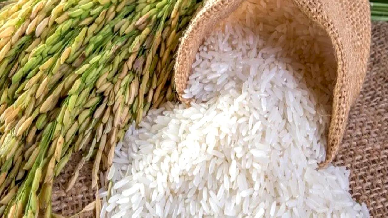 Çeltik üreticisi alarm veriyor! Mustafa Bezbaş, çeltik üreticilerinin sorunlarını taşıdı