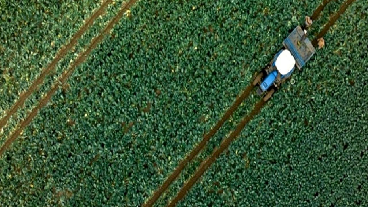 Çiftçilere 255,4 milyon lira tarımsal destekleme ödemesi