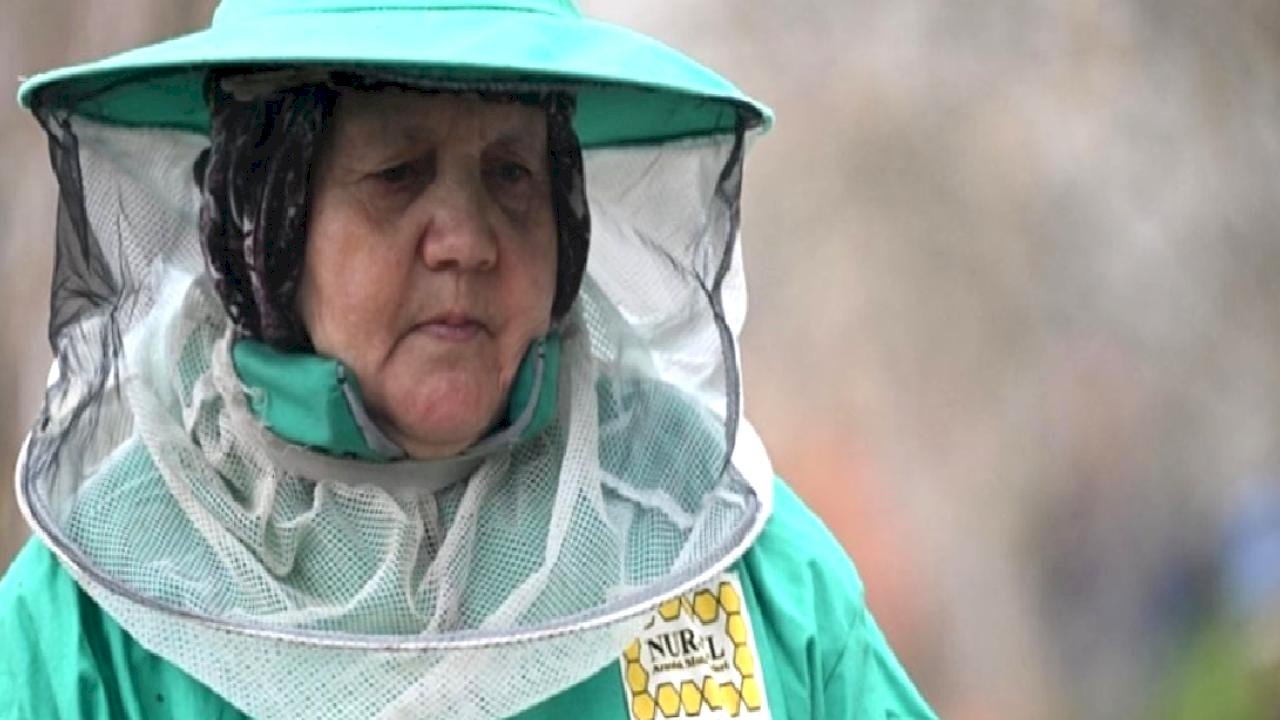 Düzceli kadın arıcı, baba mesleğini modern tekniklerle ileriye taşıdı